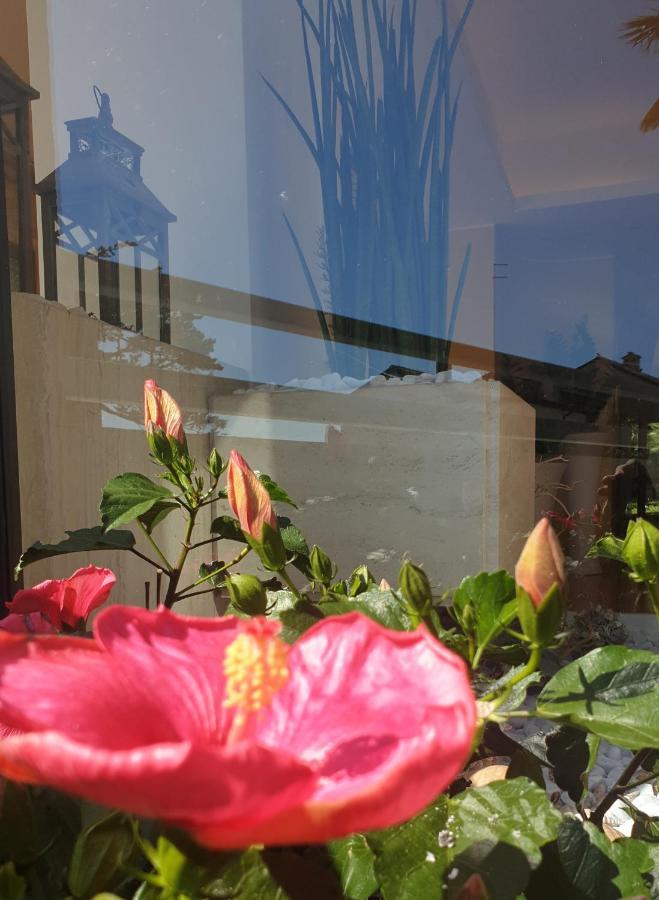 Hotel Sorriso Numana Luaran gambar